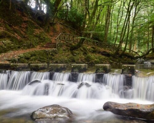 Tollymore Forest Park